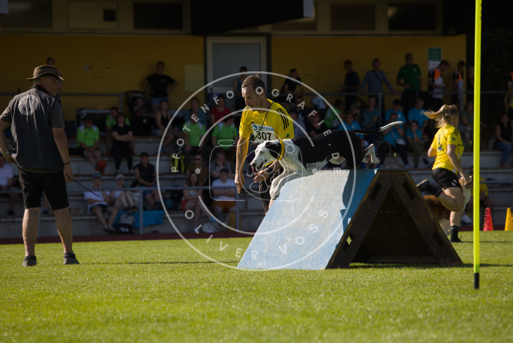 0L8A8489 | Hundefotografie, Tierfotograf, Pfotenfotografie, Fotoshooting Hund, Hunde Portrait, Hundesport, Hundeportraits, Heideshooting, Hunde, Sportfotograf, Hundefotograf, Turnierhundsport, THS,  - Realisiert mit Pictrs.com