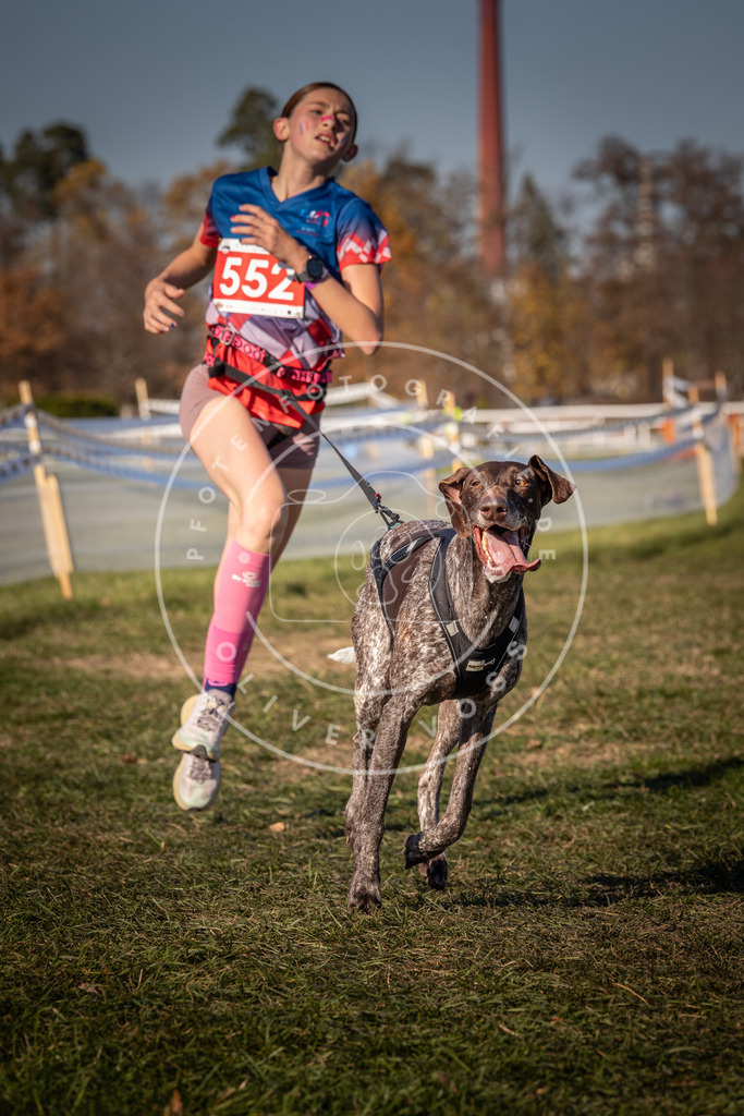 CaniXpix_0L8A7734 | Hundefotografie, Tierfotograf, Pfotenfotografie, Fotoshooting Hund, Hunde Portrait, Hundesport, Hundeportraits, Heideshooting, Hunde, Sportfotograf, Hundefotograf, Turnierhundsport, THS,  - Realisiert mit Pictrs.com