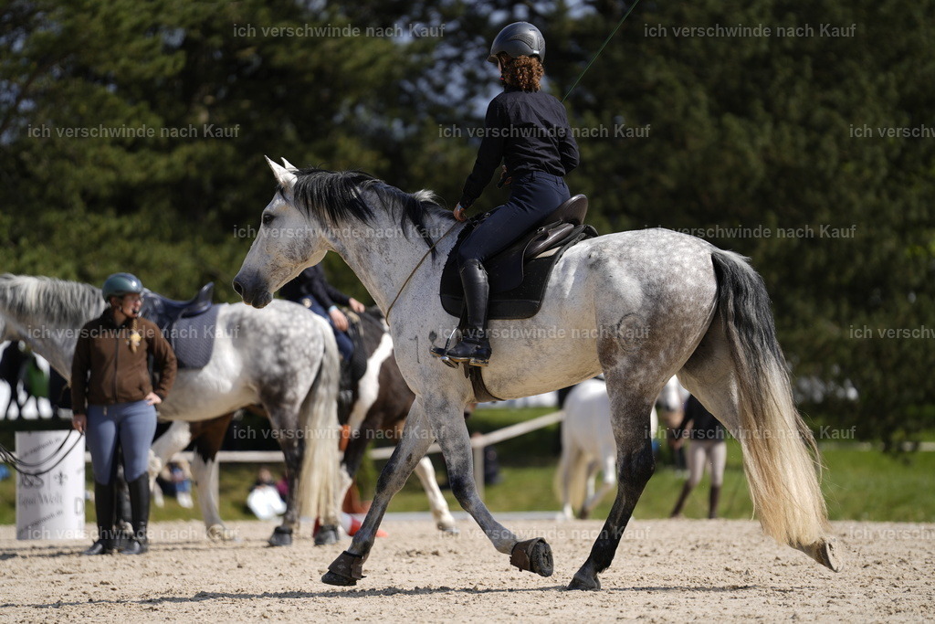 PI26_Show_Stoibphotography_A749343.JPG | working equitationturnier fotograf videograf stoibphotography marixx film working equitation deutschland reitsport turnierfotografie eventfotografie equestrian events