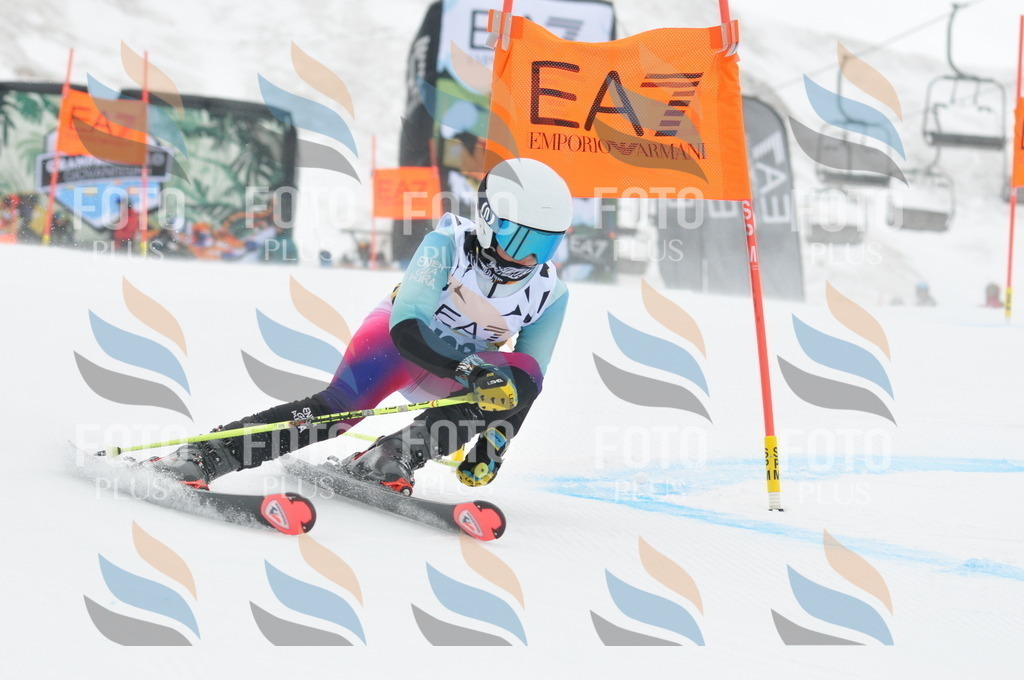 DSC_8894 | holidayphoto