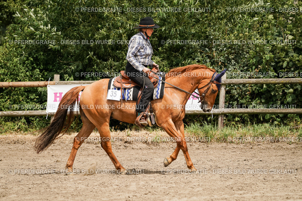 DSC00023 | Pferdegrafie