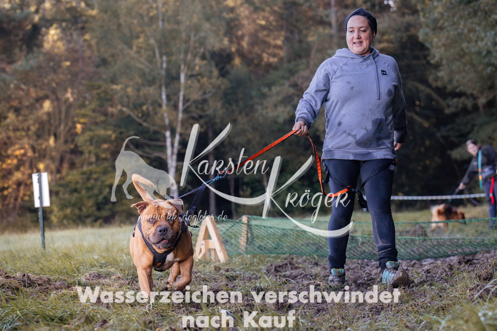 1013_ZZ90697 | kk-dogfotos
