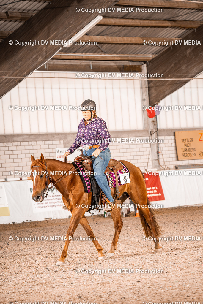 ZH100294 | dv-media-shop - Realisiert mit Pictrs.com