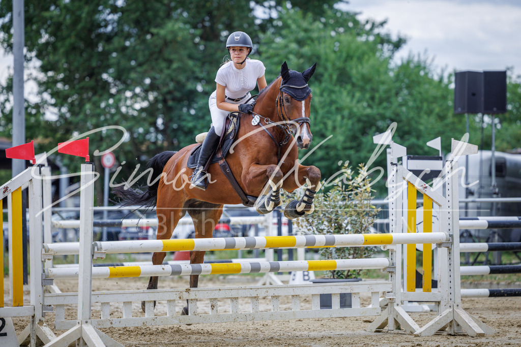20260705-_3LI6185 | Tierfotografie Pferde, Hunde, Katzen, Haustiere.
Turnierfotografie Reitturniere, Reiten, Springreiten, Dressur in Hanau, dem Main-Kinzig-Kreis und dem Rhein-Main- Gebiet um Frankfurt