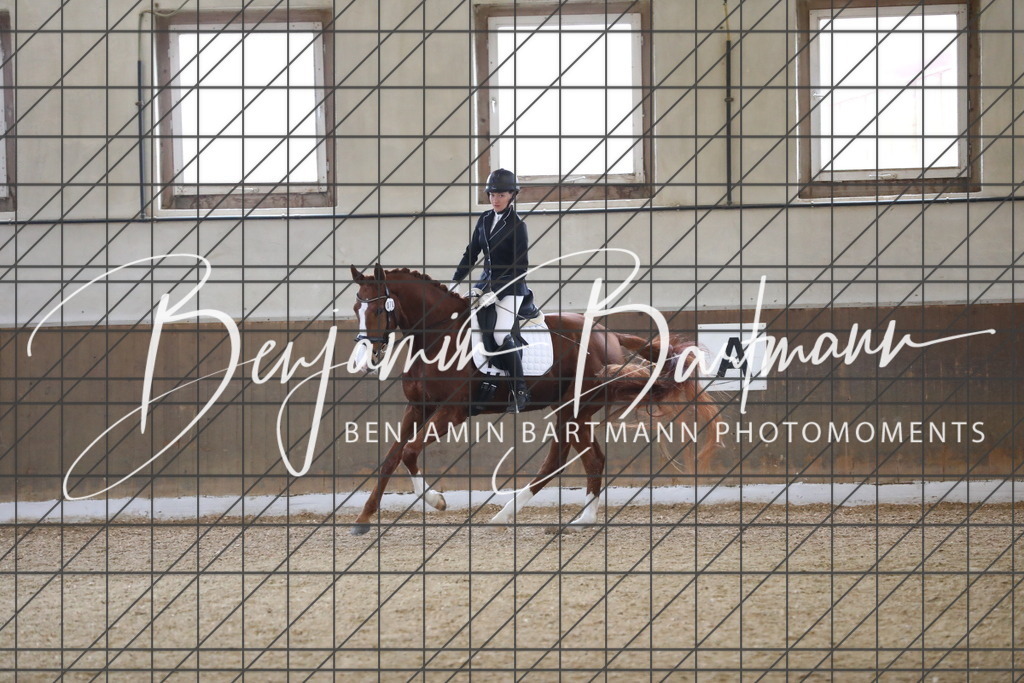 AZ2A0017 | Benjamin Bartmann Photomoments