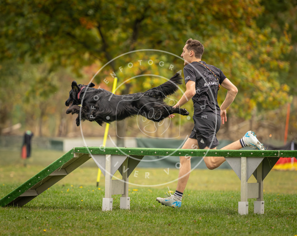 Pfotenfotografie_DV3A7692 | Hundefotografie, Tierfotograf, Pfotenfotografie, Fotoshooting Hund, Hunde Portrait, Hundesport, Hundeportraits, Heideshooting, Hunde, Sportfotograf, Hundefotograf, Turnierhundsport, THS,  - Realisiert mit Pictrs.com