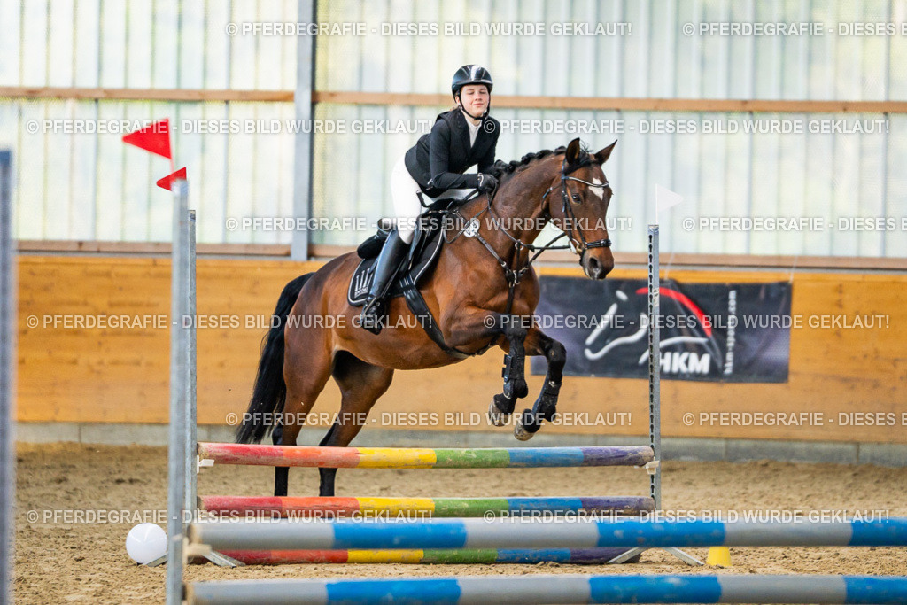 DSC01132 | Pferdegrafie