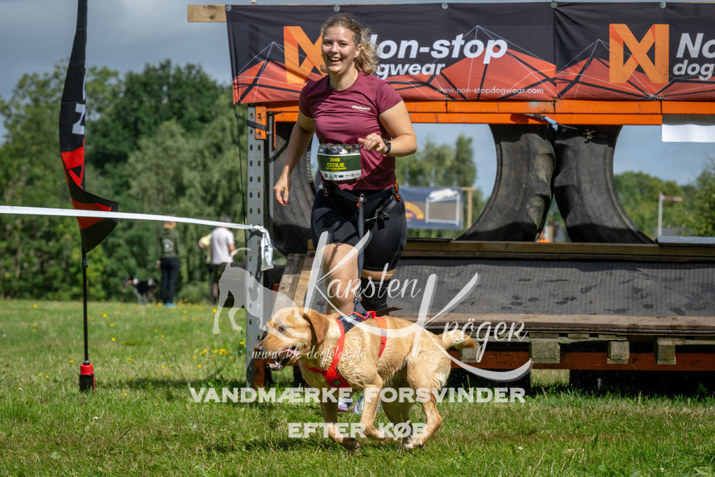 1131_ZZ92375 | kk-dogfotos