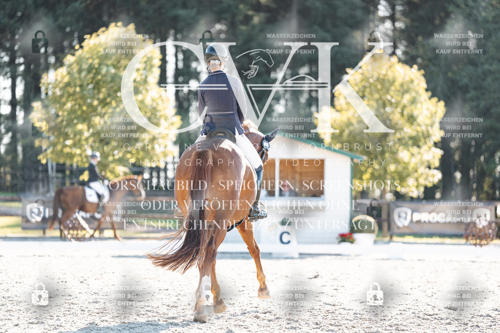 CK906844 | Turnierfotografie Pferdefotografie Trier Rheinland-Pfalz Pferdesport Reitsport Tierfotografie Sportfotografie Pferdevideo Pferdevideografie Equestrianvideography equestrianphotography  - Realisiert mit Pictrs.com