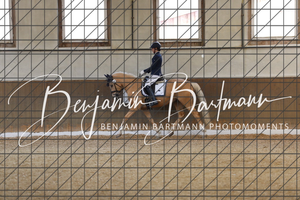 AZ2A8129 | Benjamin Bartmann Photomoments