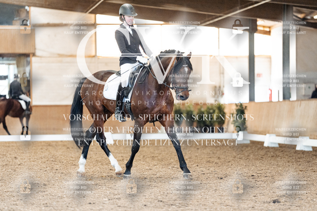 CK908532 | Turnierfotografie Pferdefotografie Trier Rheinland-Pfalz Pferdesport Reitsport Tierfotografie Sportfotografie Pferdevideo Pferdevideografie Equestrianvideography equestrianphotography  - Realized with Pictrs.com