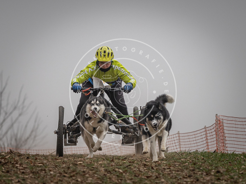 Pfotenfotografie_DV3A4607 | Hundefotografie, Tierfotograf, Pfotenfotografie, Fotoshooting Hund, Hunde Portrait, Hundesport, Hundeportraits, Heideshooting, Hunde, Sportfotograf, Hundefotograf, Turnierhundsport, THS,  - Realisiert mit Pictrs.com