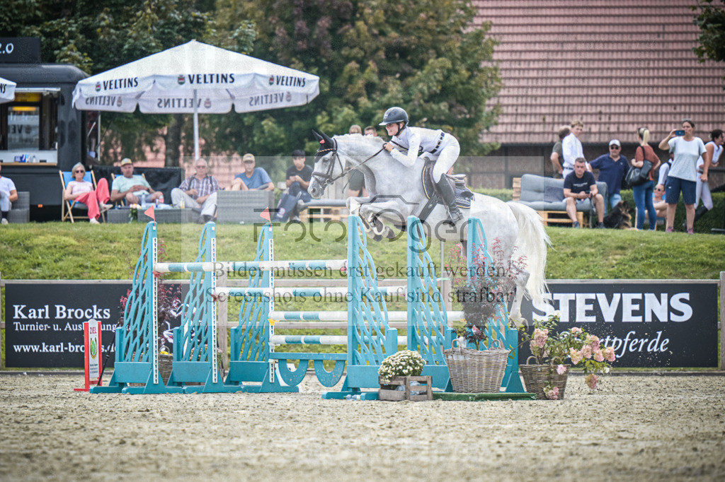 DOS_2466 | Entdecke hochwertige Reitturnierfotos von Foto Oger. Professionell, emotional und authentisch – jetzt Lieblingsmomente im Shop bestellen.Deutschlandweite Turnierfotografie. - Realisiert mit Pictrs.com