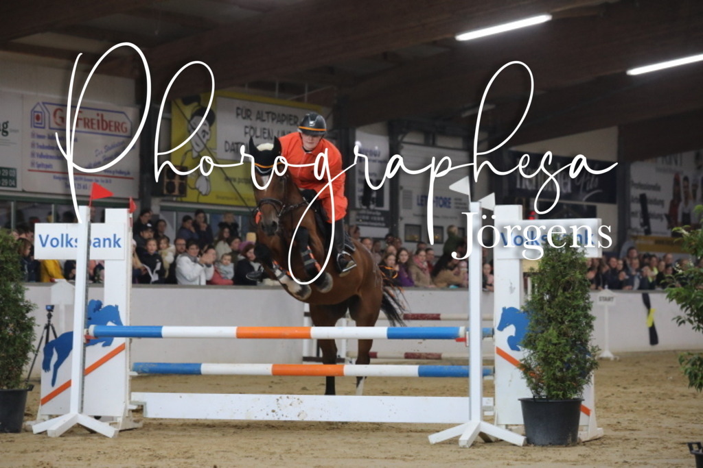 IMG_2002 | photographesa-joergens - Realisiert mit Pictrs.com