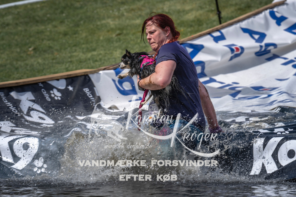 1219_ZZ96679 | kk-dogfotos