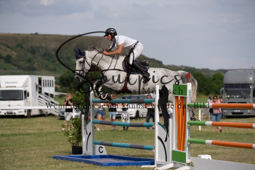 A7V02783 | Pferdefotograf