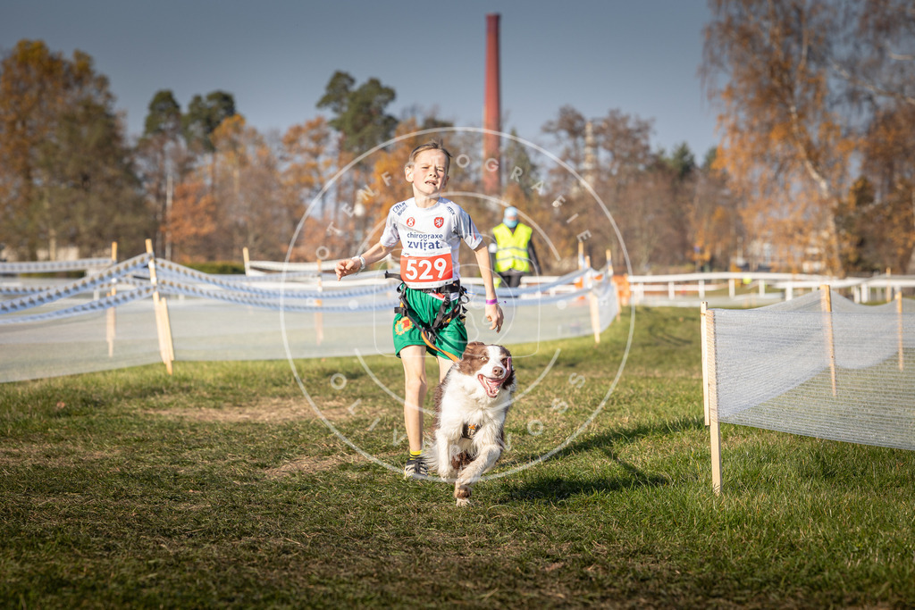 CaniXpix_0L8A8864 | Hundefotografie, Tierfotograf, Pfotenfotografie, Fotoshooting Hund, Hunde Portrait, Hundesport, Hundeportraits, Heideshooting, Hunde, Sportfotograf, Hundefotograf, Turnierhundsport, THS,  - Realisiert mit Pictrs.com