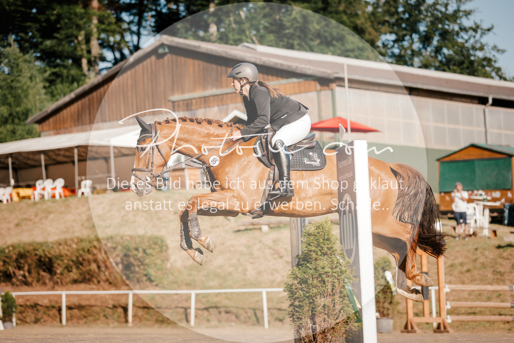 3I6A6172 | Stimmungsvolle Portraits und Reitsportfotografie im Ruhrgebiet und im Münsterland.

Pferdefotografie, Hundefotografie, Tierfotografie, Reportagen, Portraits von Tier und Mensch, Turnierfotografie in Bochum, Recklinghausen, Marl, Haltern am See, Dülmen.. - Realisiert mit Pictrs.com