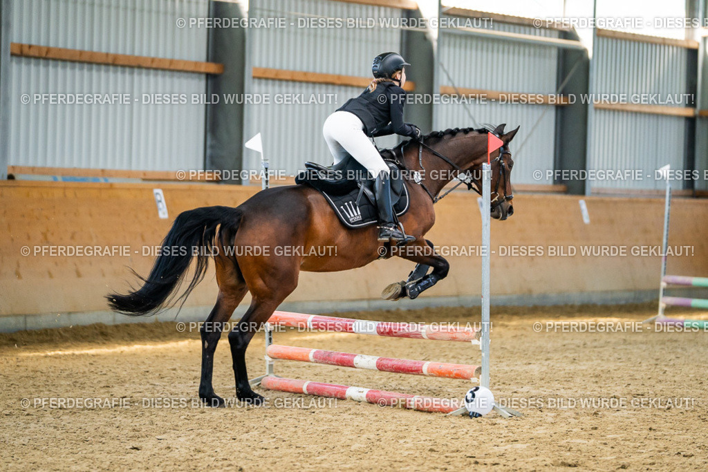 DSC01135 | Pferdegrafie