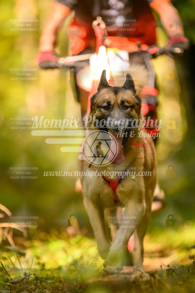 MompixPhotography_Yens2025_B2-95 | PayLife