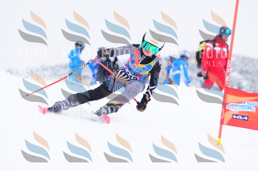 C4335 | holidayphoto