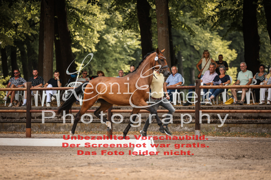 Do2.R00003 | Leoni Ertmer Photography - Realisiert mit Pictrs.com