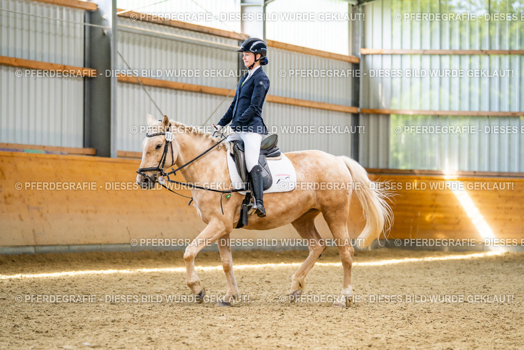 DSC03600 | Pferdegrafie