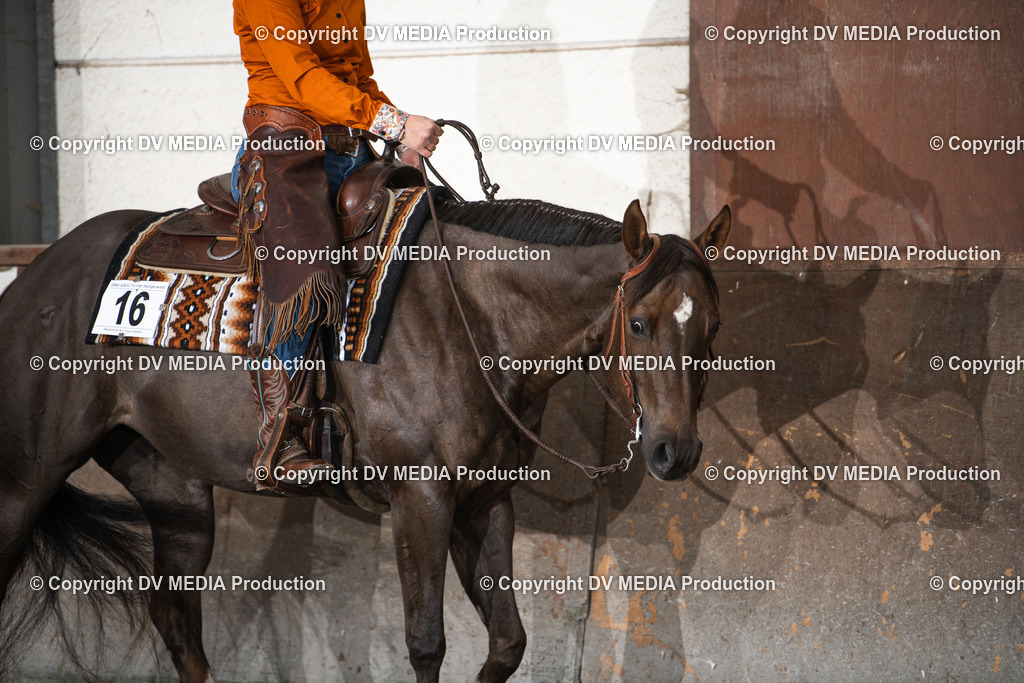 Heiligenwald Tag 1-271 | dv-media-shop - Realisiert mit Pictrs.com