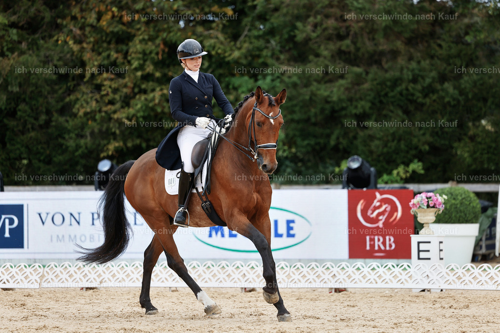 6-001-AMATUER-DRESSUR S_  -StoibPH-3544 | working equitationturnier fotograf videograf stoibphotography marixx film working equitation deutschland reitsport turnierfotografie eventfotografie equestrian events