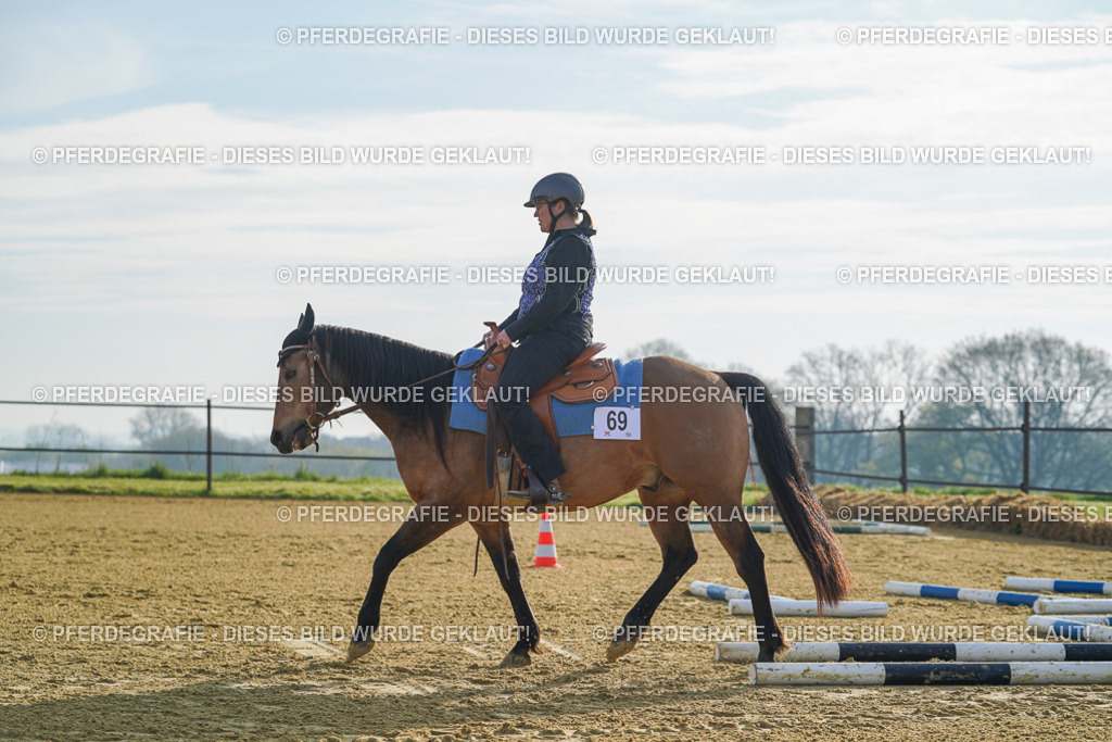 DSC00627 | Pferdegrafie