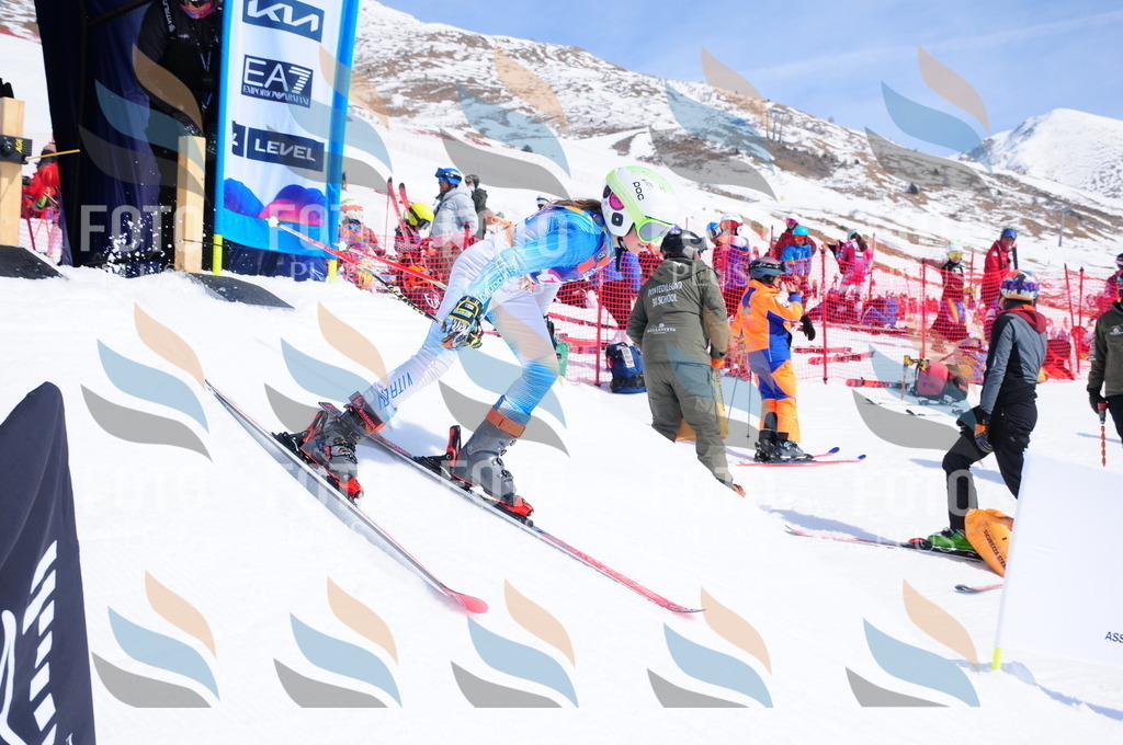 DSC_5600 | holidayphoto