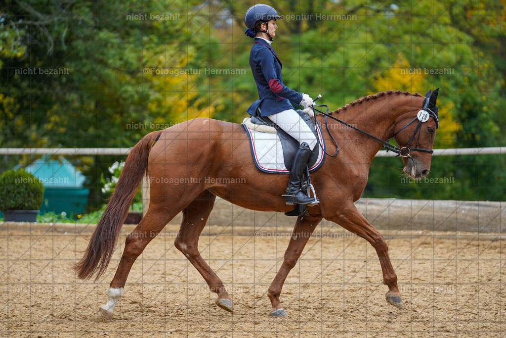 20221008-FAH01939 | Diessen am Ammersee, 2022, Dressur- und Springturnier, Reitsportbilder, Turnierfotografen Bayern, Pferdefotografen, Fotoagentur Herrmann, Turnierbilder