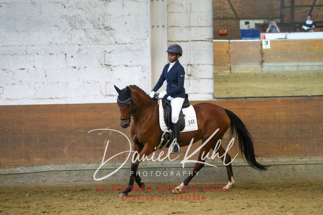 DKP43347 | Turniersportfotografie; Pferdefotografie; Dressurfotografie