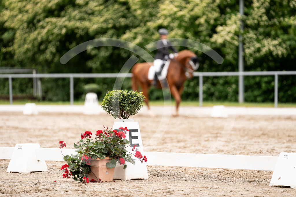 DSC01798 | Carolin Gieschke