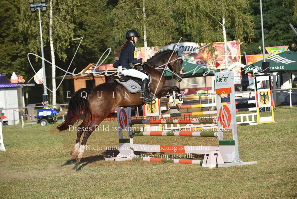 DSC_4944 | Pferde- und Turnierfotografie in Westsachsen. Pferdeportraits, Auftragszeichnungen und intuitive Kunst.