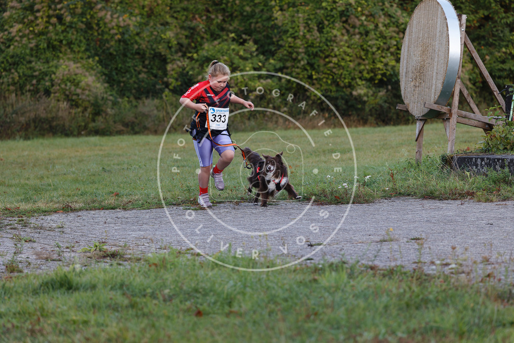 0L8A4261 | Hundefotografie, Tierfotograf, Pfotenfotografie, Fotoshooting Hund, Hunde Portrait, Hundesport, Hundeportraits, Heideshooting, Hunde, Sportfotograf, Hundefotograf, Turnierhundsport, THS,  - Realisiert mit Pictrs.com