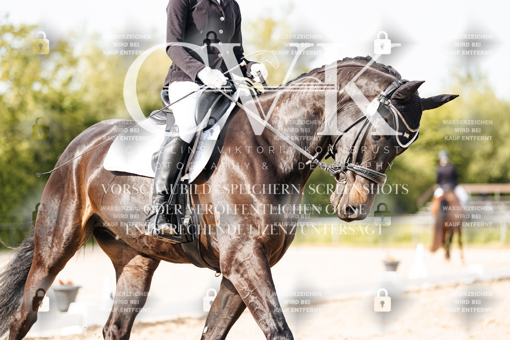 CK900365 | Turnierfotografie Pferdefotografie Trier Rheinland-Pfalz Pferdesport Reitsport Tierfotografie Sportfotografie Pferdevideo Pferdevideografie Equestrianvideography equestrianphotography  - Realisiert mit Pictrs.com