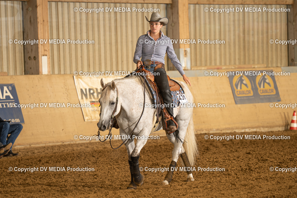 LAU00235 | dv-media-shop - Realisiert mit Pictrs.com