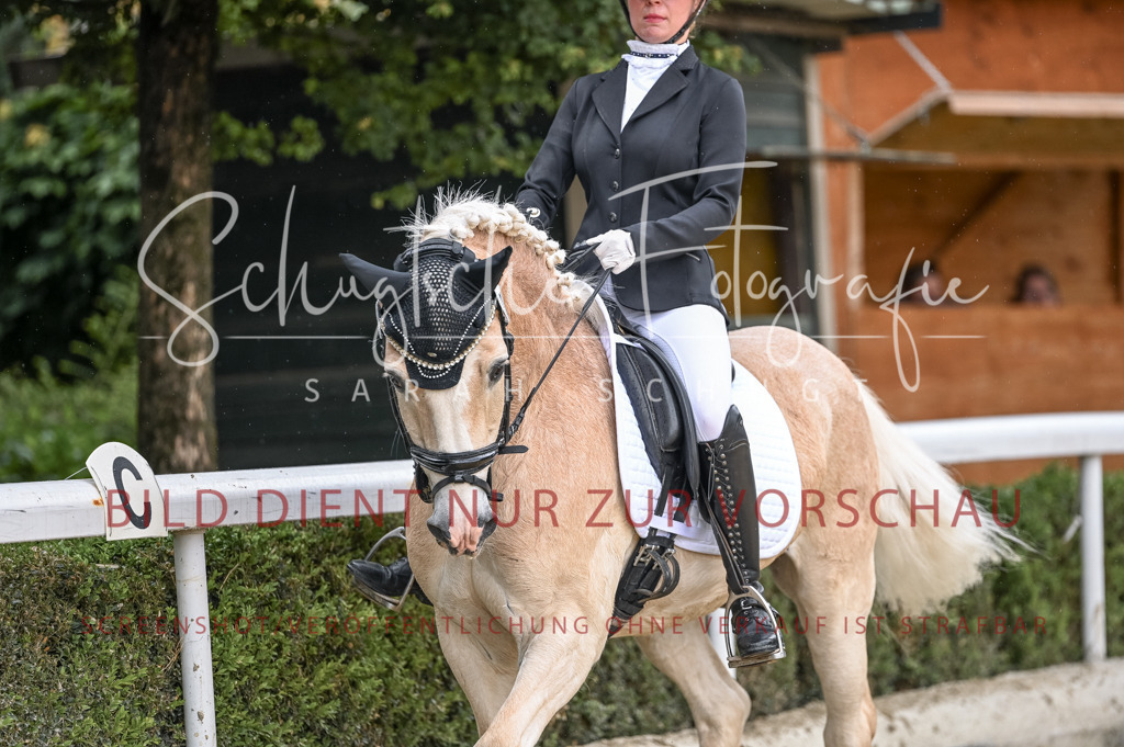 Schugtsche-Aluta25-41.Amat-Dressurprf.A_-506 | Schugtsche Fotografie - Realisiert mit Pictrs.com