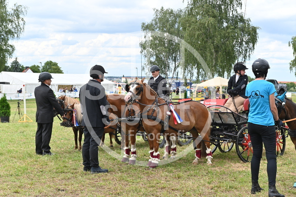 DSC_4613 | sattelsport - Realisiert mit Pictrs.com