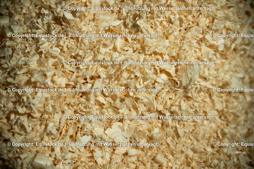 20190409_Excuisit_0007 | Foto: Thomas Hartig