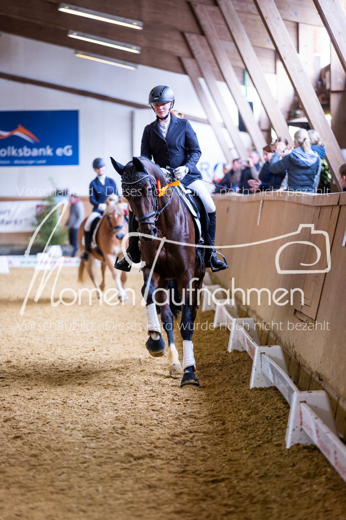 Sth-A-Dre-2St-248 | MomenTaufnahmen Pferdesportfotos