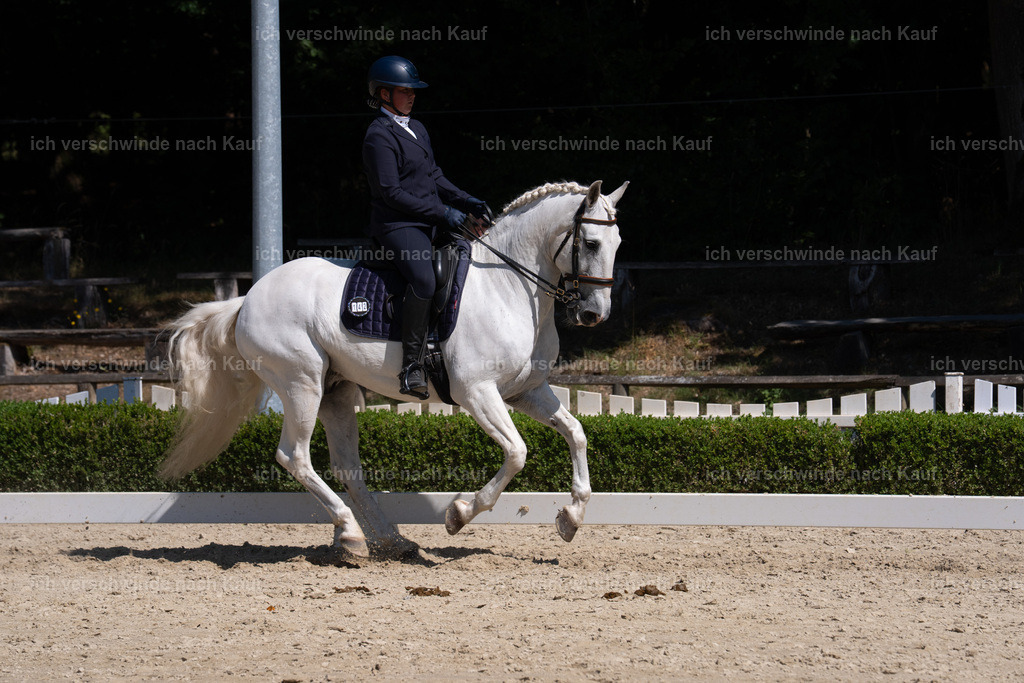 WS_DR_142_sinafilmart_IN09828 | working equitationturnier fotograf videograf stoibphotography marixx film working equitation deutschland reitsport turnierfotografie eventfotografie equestrian events