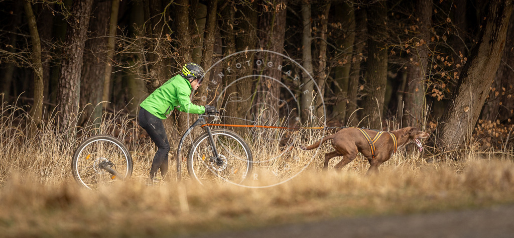 DV3A3578 | Hundefotografie, Tierfotograf, Pfotenfotografie, Fotoshooting Hund, Hunde Portrait, Hundesport, Hundeportraits, Heideshooting, Hunde, Sportfotograf, Hundefotograf, Turnierhundsport, THS,  - Realisiert mit Pictrs.com
