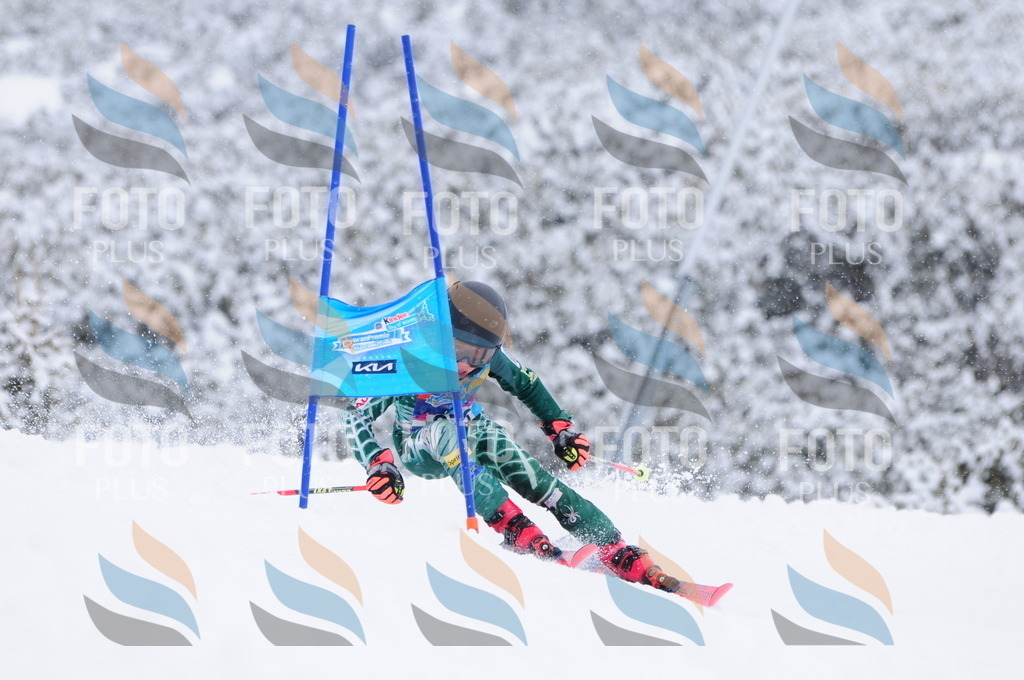 C4006 | holidayphoto