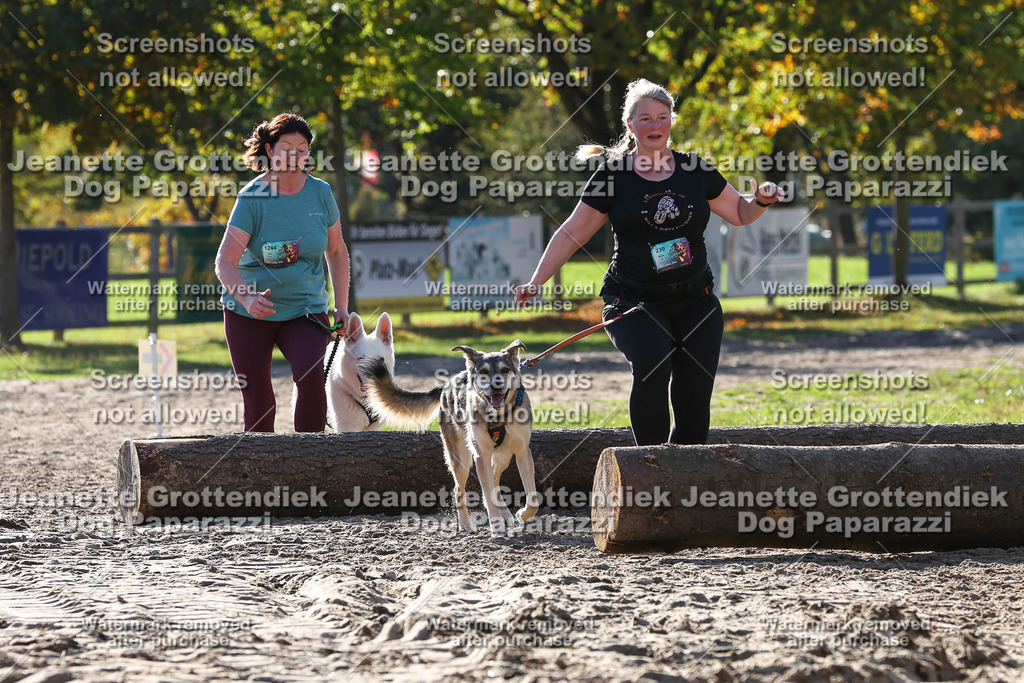 Dog Paparazzi - Strongdog 10-25-6044 | Dog Paparazzi Jeanette Grottendiek Fotografie & Videografie - Realisiert mit Pictrs.com
