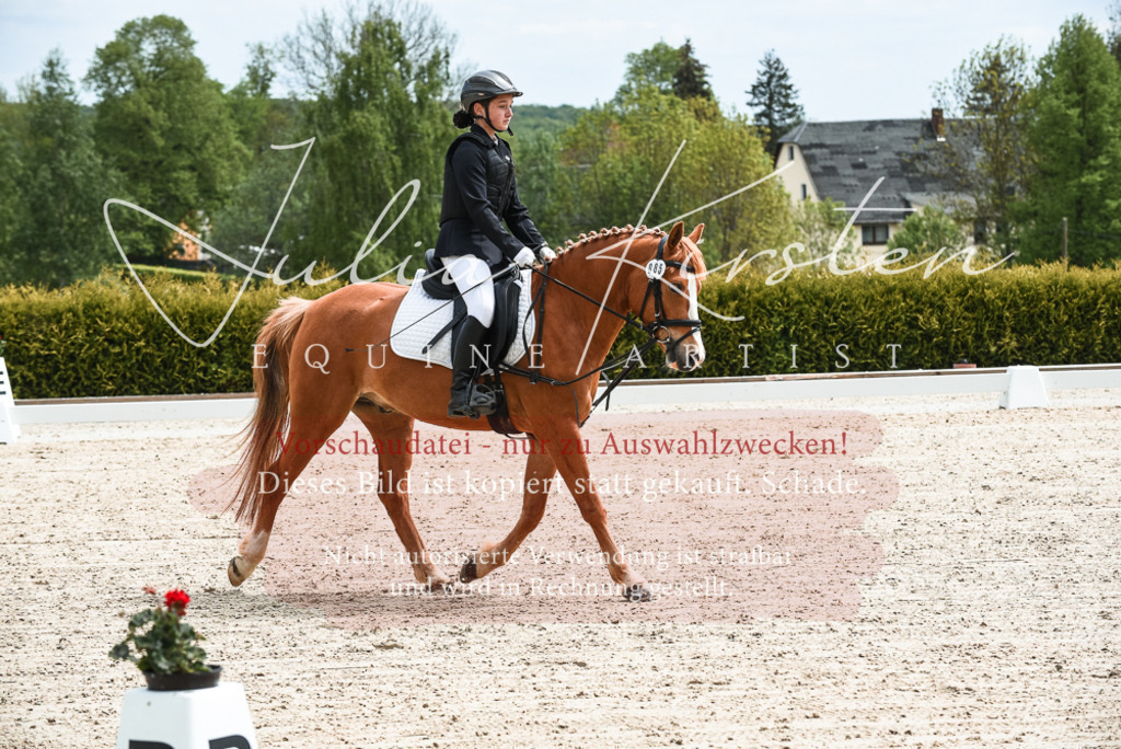 20230518_JK-Röhrsdorf-11-0020 | Pferde- und Turnierfotografie in Westsachsen. Pferdeportraits, Auftragszeichnungen und intuitive Kunst.