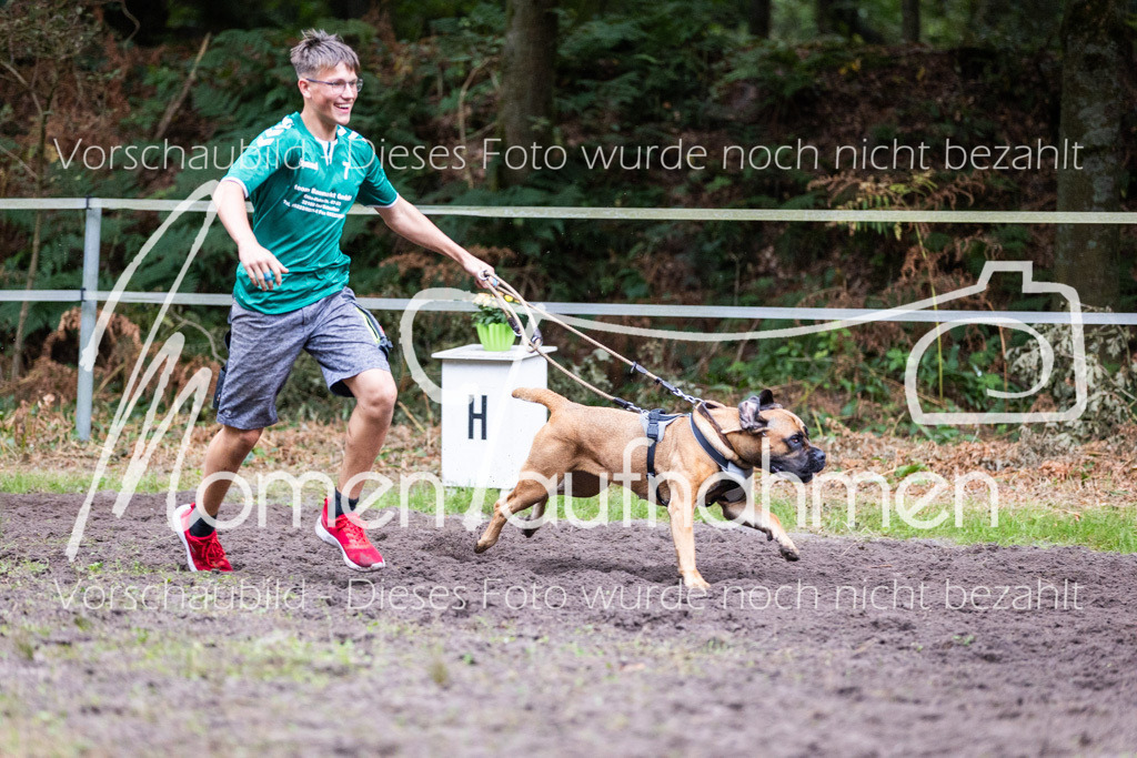 HB-JaD-063 | MomenTaufnahmen Pferdesportfotos