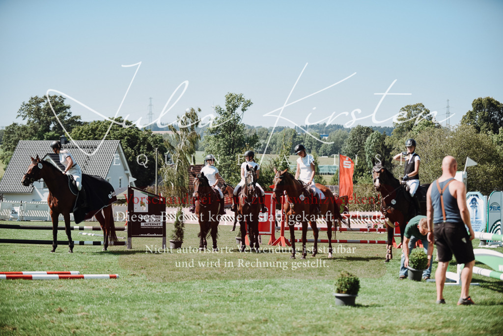 DSC_3323 | Pferde- und Turnierfotografie in Westsachsen. Pferdeportraits, Auftragszeichnungen und intuitive Kunst.