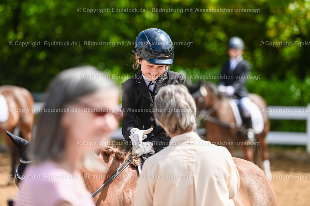 20230716_10-3_Reiter-WB Schritt - Trab - Galopp_0206 | equistock